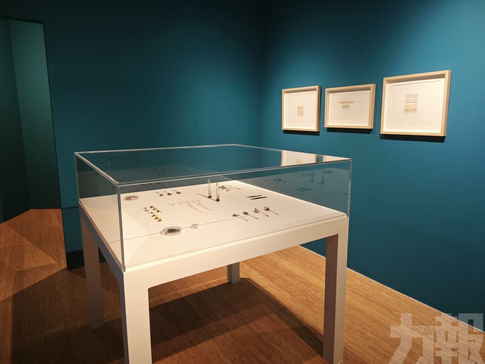 藝博館帶來嶄新多維觀展體驗