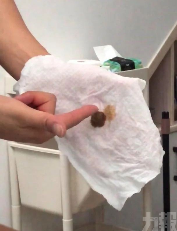 官方查明藻類異變釋硫化物惹禍
