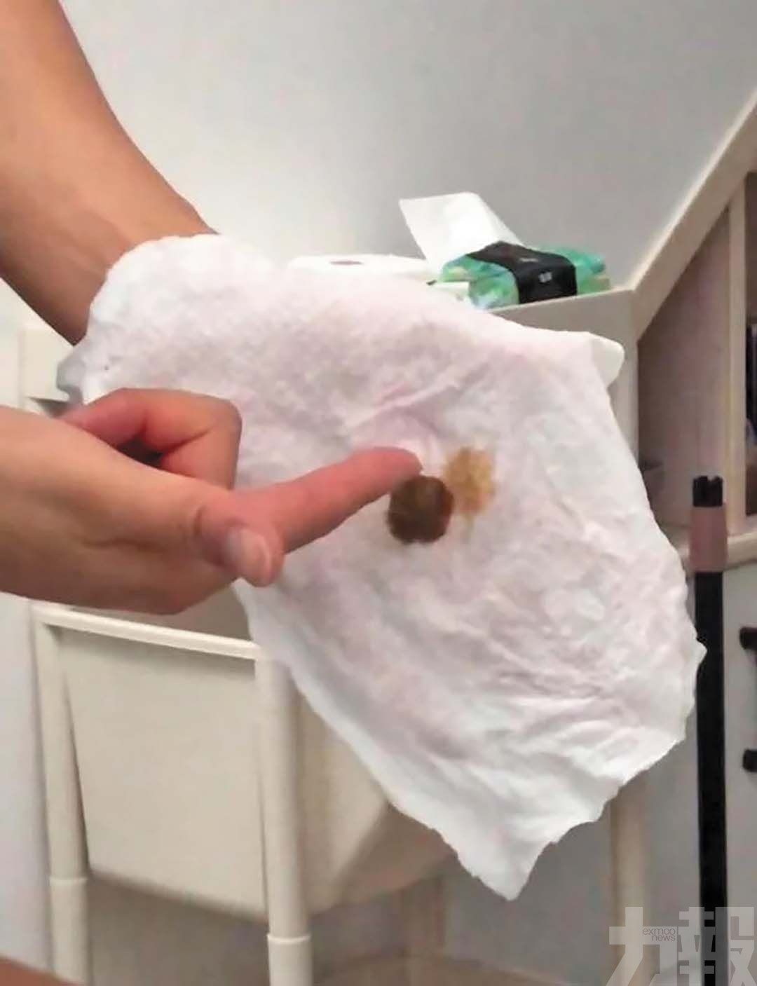 官方查明藻類異變釋硫化物惹禍