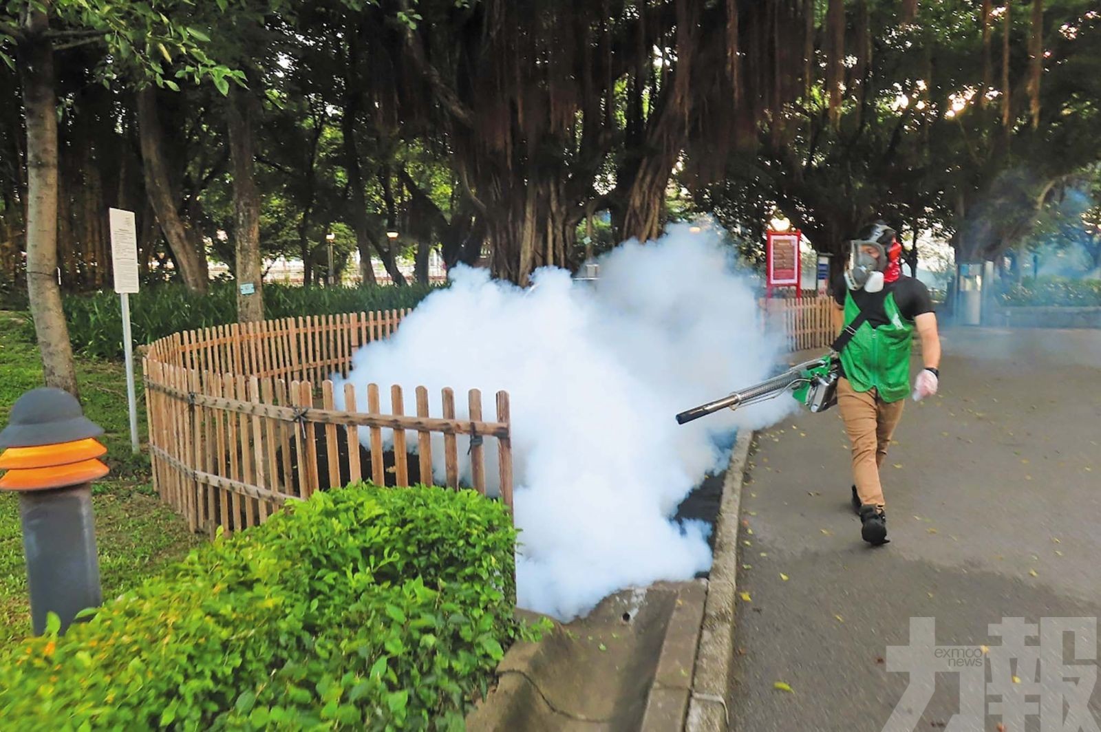 當局籲市民加強防蚊措施