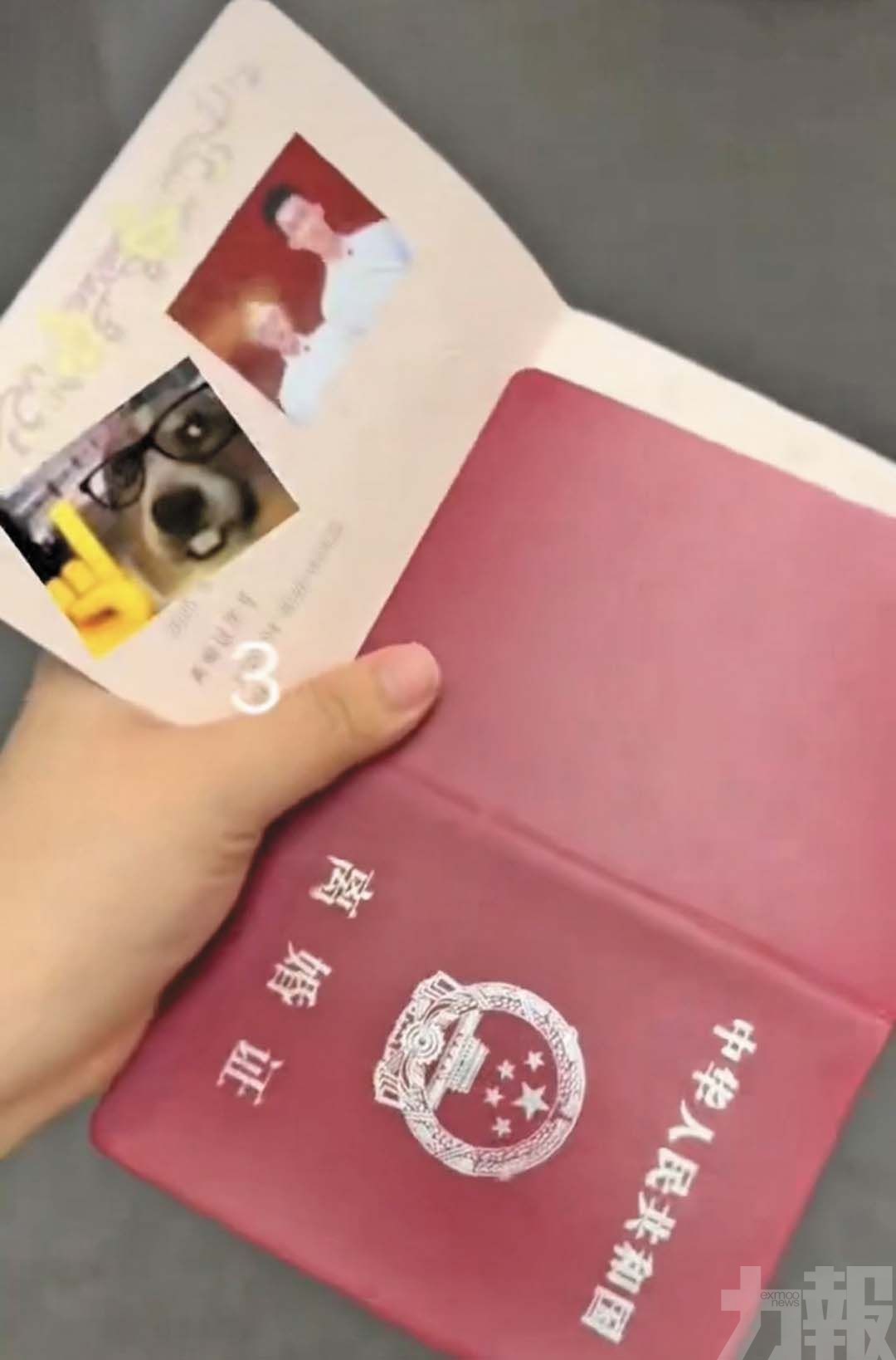 新人辦結婚手續竟領到「離婚證」