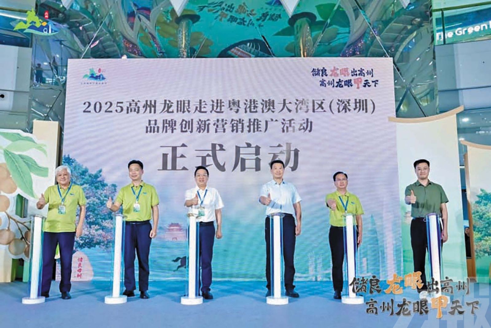 高州龍眼進軍大灣區　