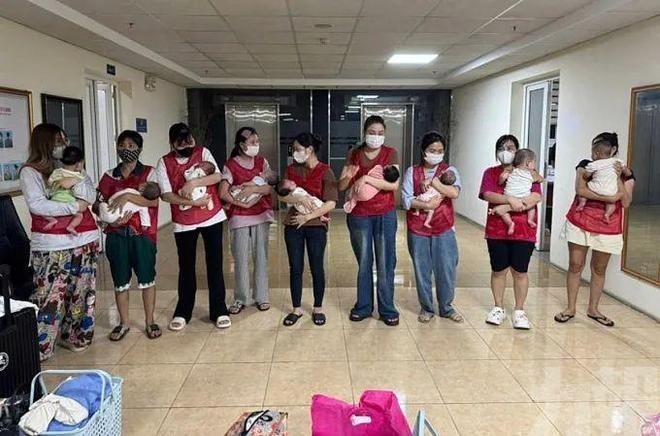 救出11名嬰兒 揭牽涉逾百案件