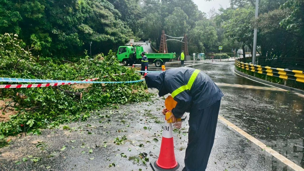 市政署暫關閉路氹郊野徑
