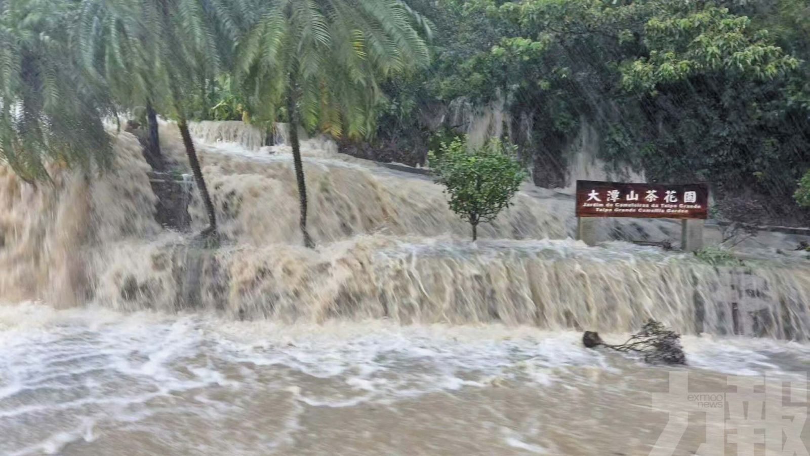 路氹低窪區現大範圍嚴重水浸
