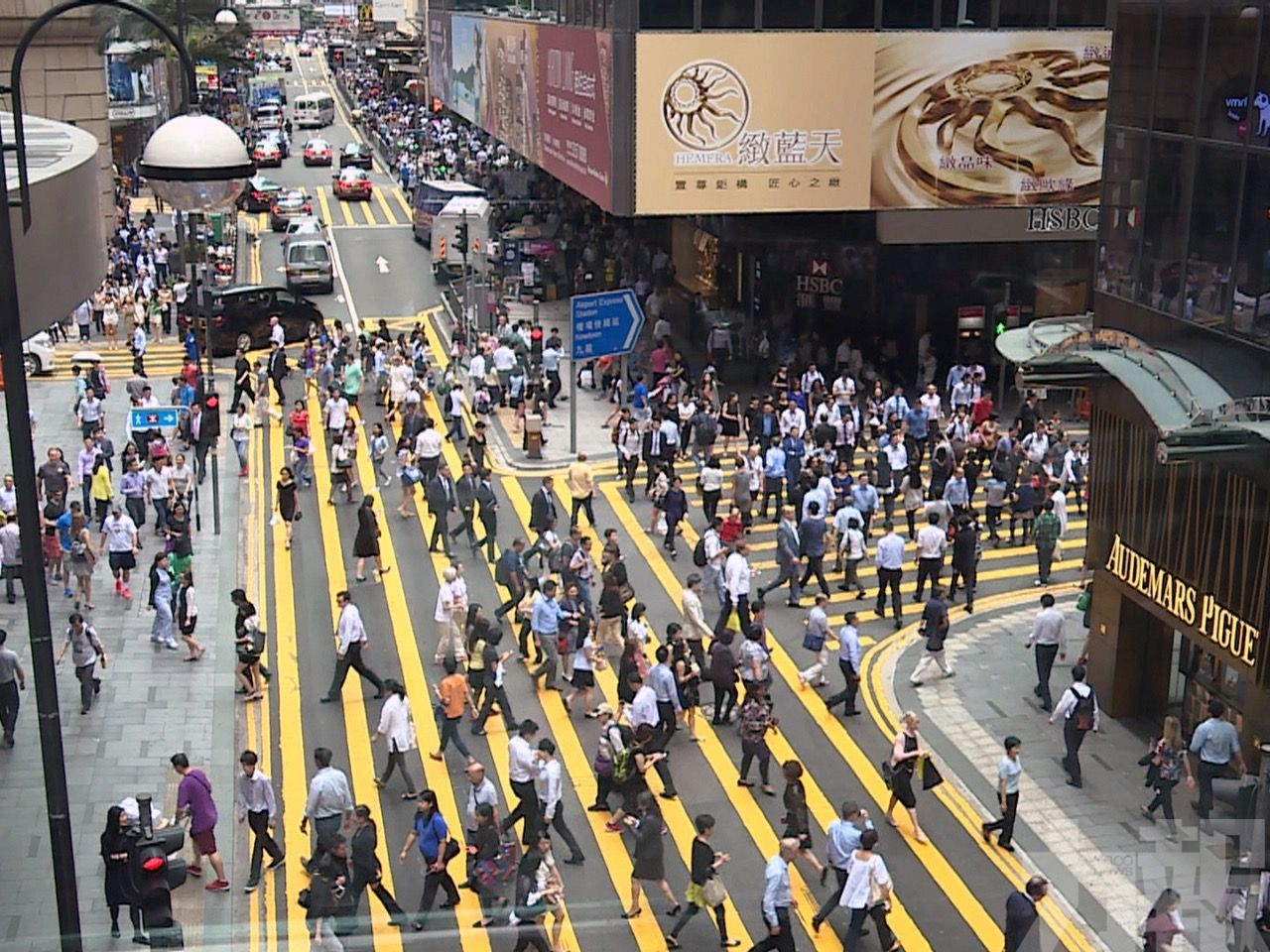 逾四成申請人選擇離港
