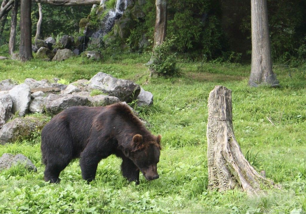 獵人曝高風險低報酬「油錢都不夠」