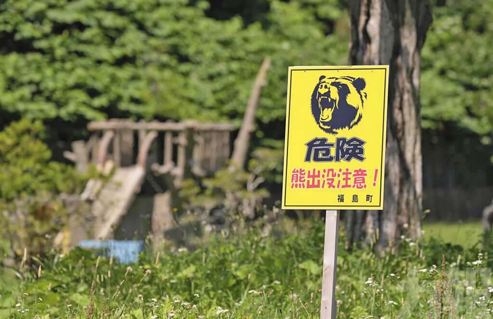 獵人曝高風險低報酬「油錢都不夠」