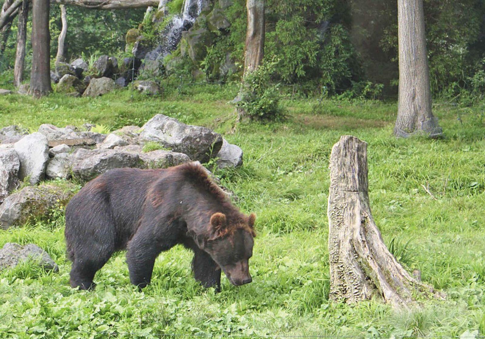 獵人曝高風險低報酬「油錢都不夠」