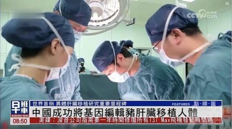基因編輯豬肺成功移植腦死人體