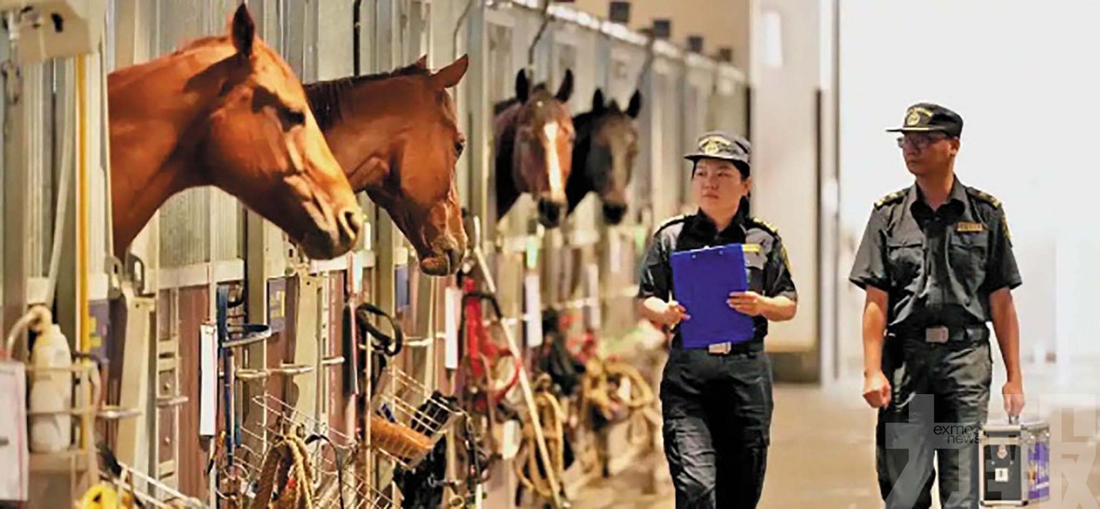 粵港跨境賽馬實現無感查驗