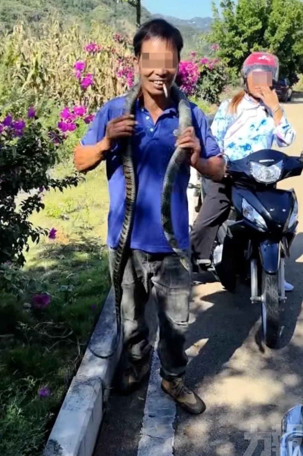 貴州大叔遭咬傷中毒亡