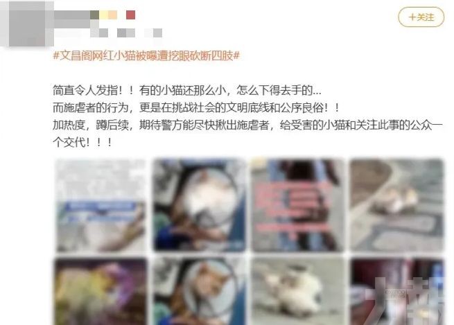 貴陽男子認造謠遭行政處罰