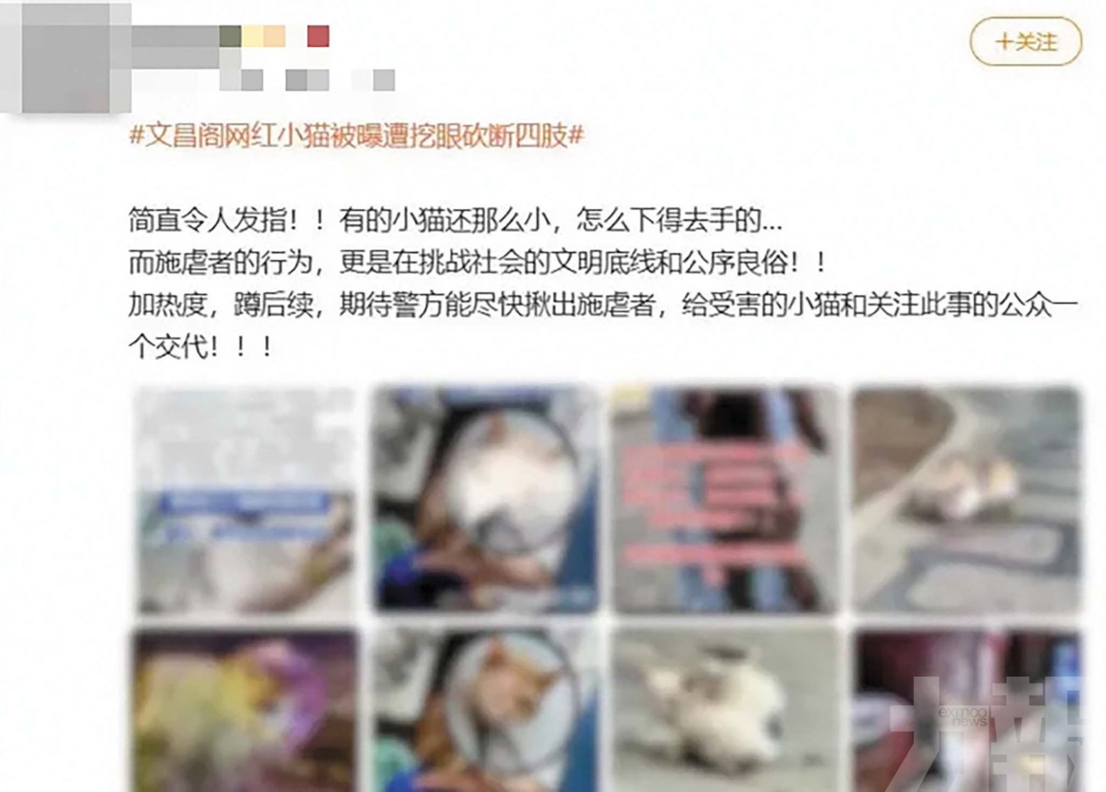 貴陽男子認造謠遭行政處罰