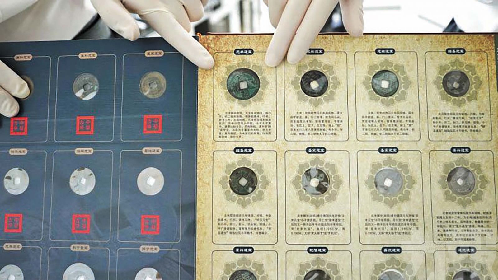 鑑定確認55件禁限出境