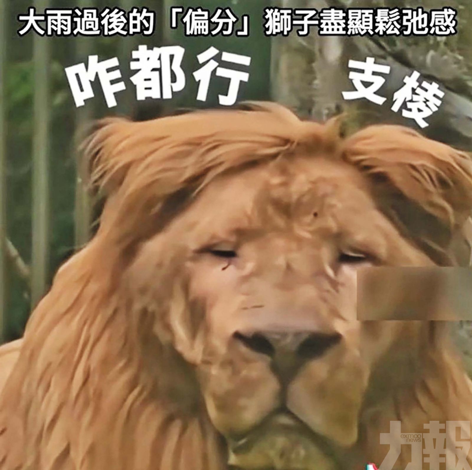 從乖巧齊瀏海變不羈「二八分」