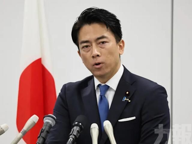 宣布角逐自民黨總裁