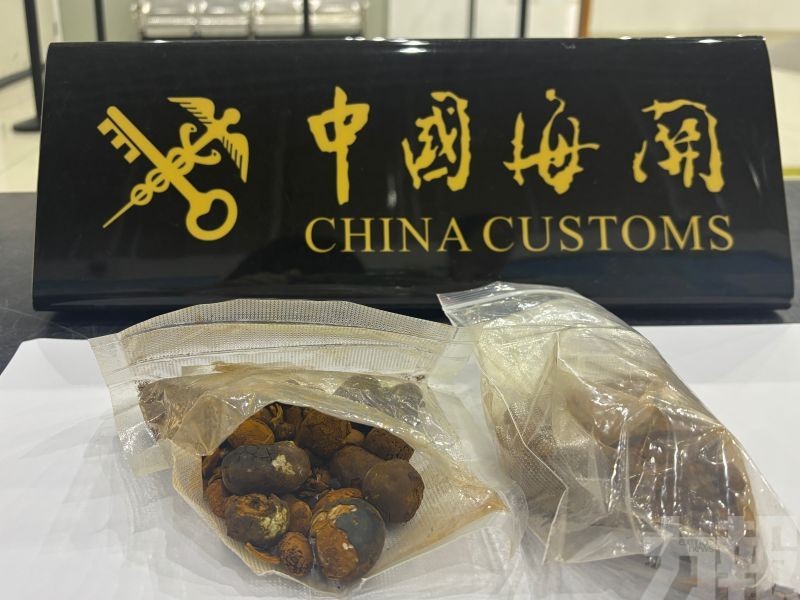 屬違規動物源性中藥材
