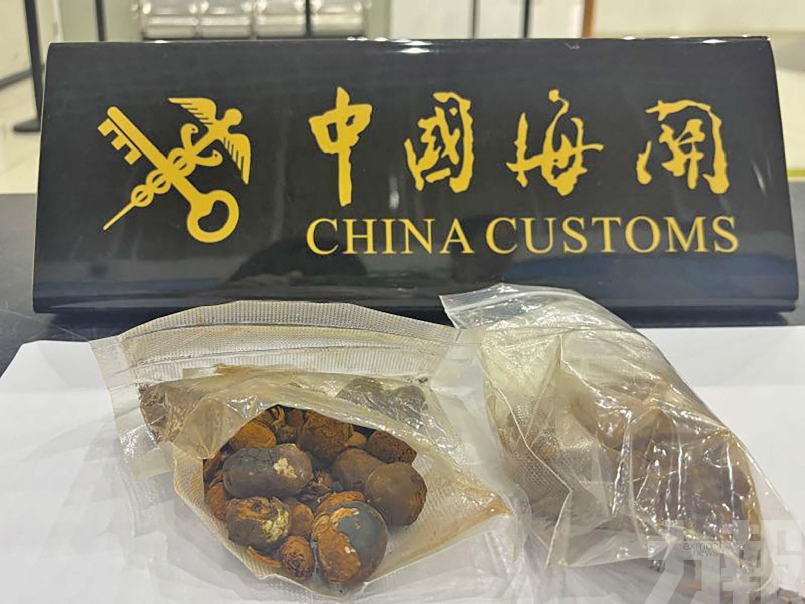 屬違規動物源性中藥材