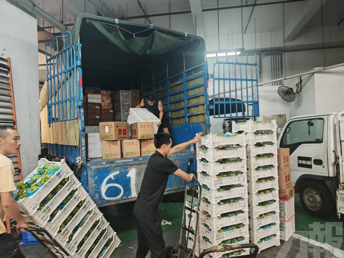 市政署：鮮活食品供應持續增加
