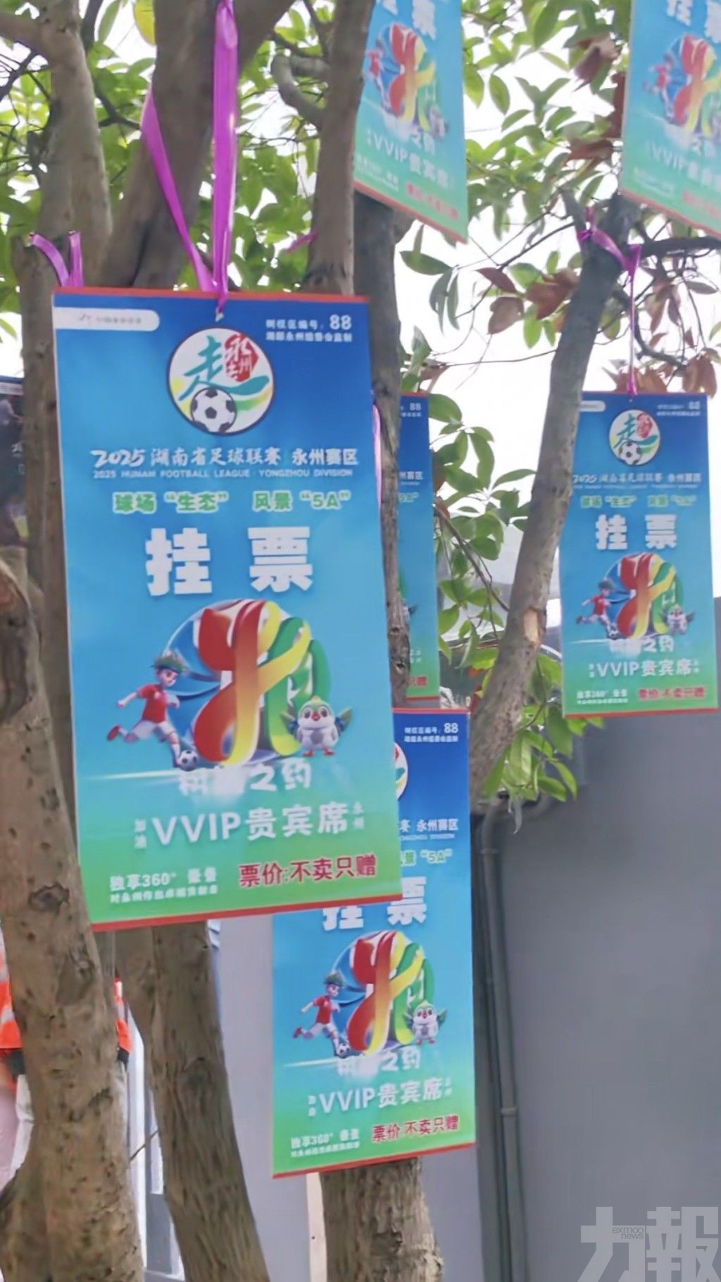 限重80公斤小心鳥屎攻擊