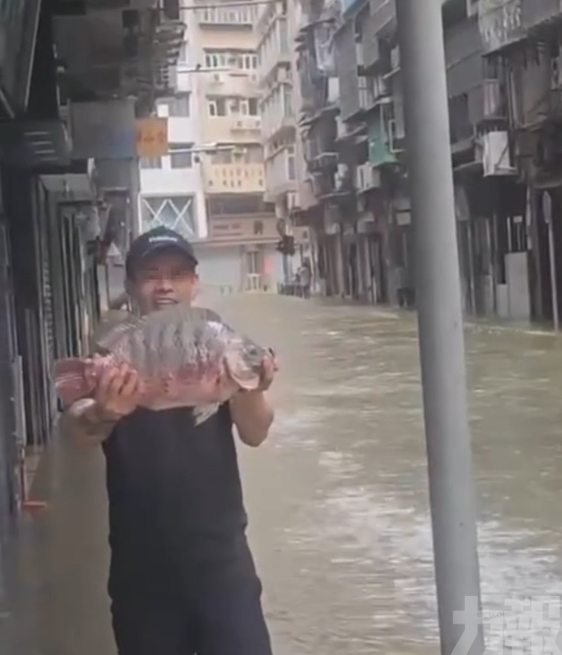 澳門民眾上街捕魚短片網絡瘋傳