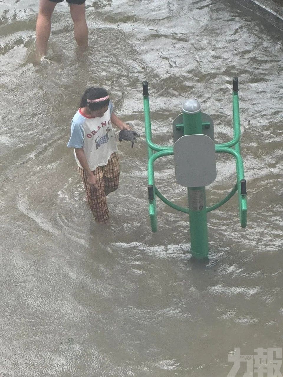 澳門民眾上街捕魚短片網絡瘋傳