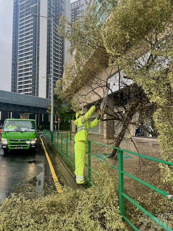 市政署派員清理馬路上的塌樹及斷枝