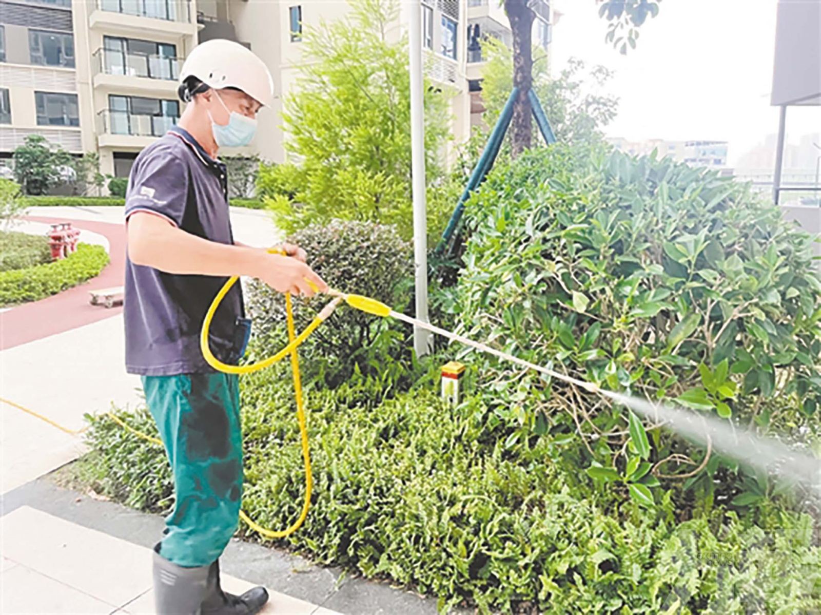 全國首個檢測試劑火速獲批上市