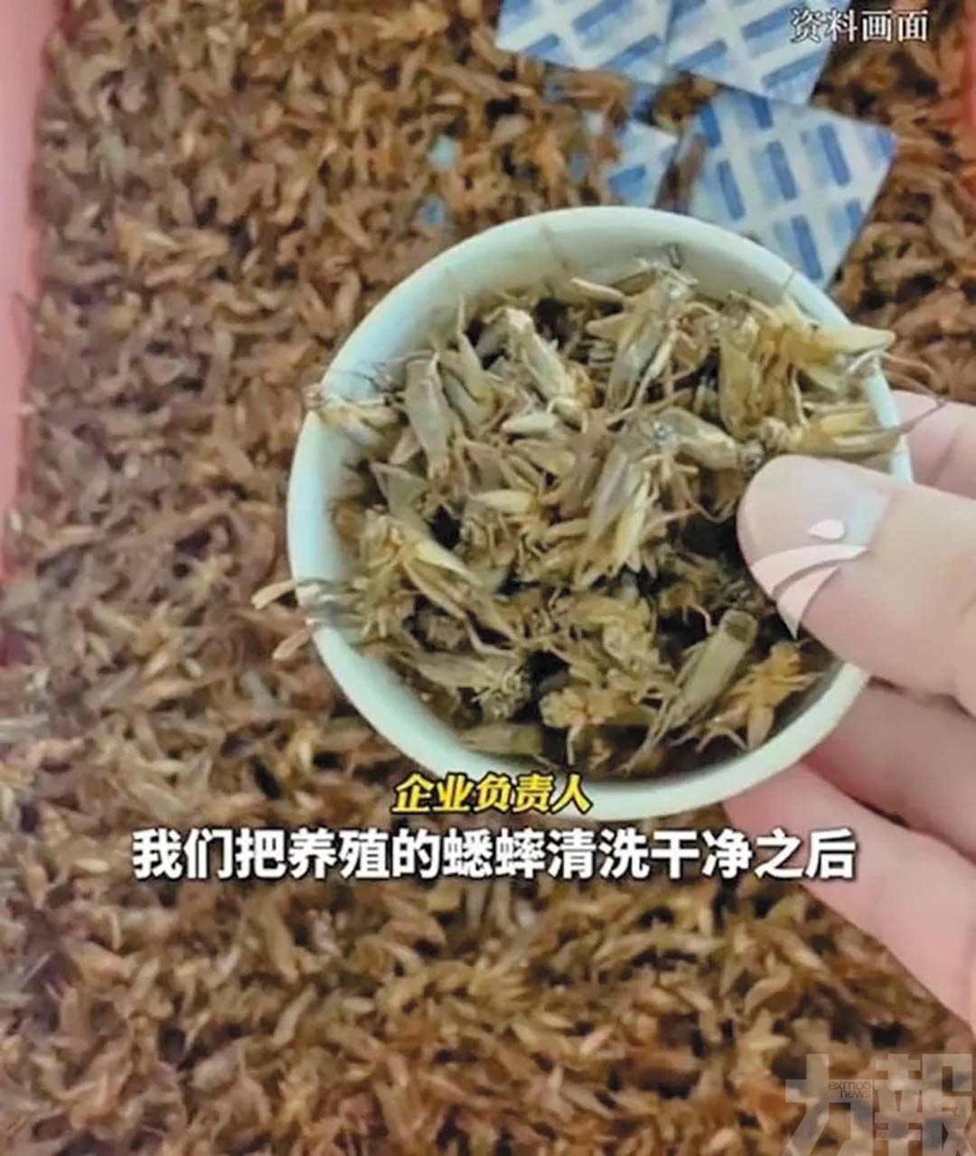 試吃者：香中帶鹹鮮