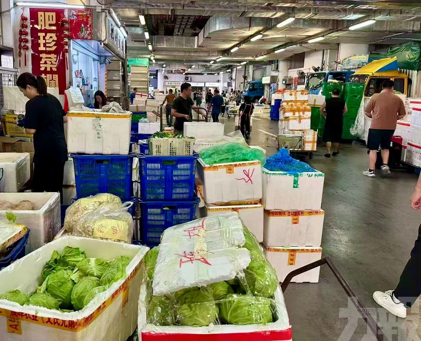 市政署：鮮活食品中秋節前後供應穩定
