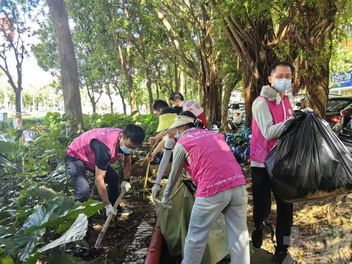 嚴防登革熱基孔肯雅熱傳播
