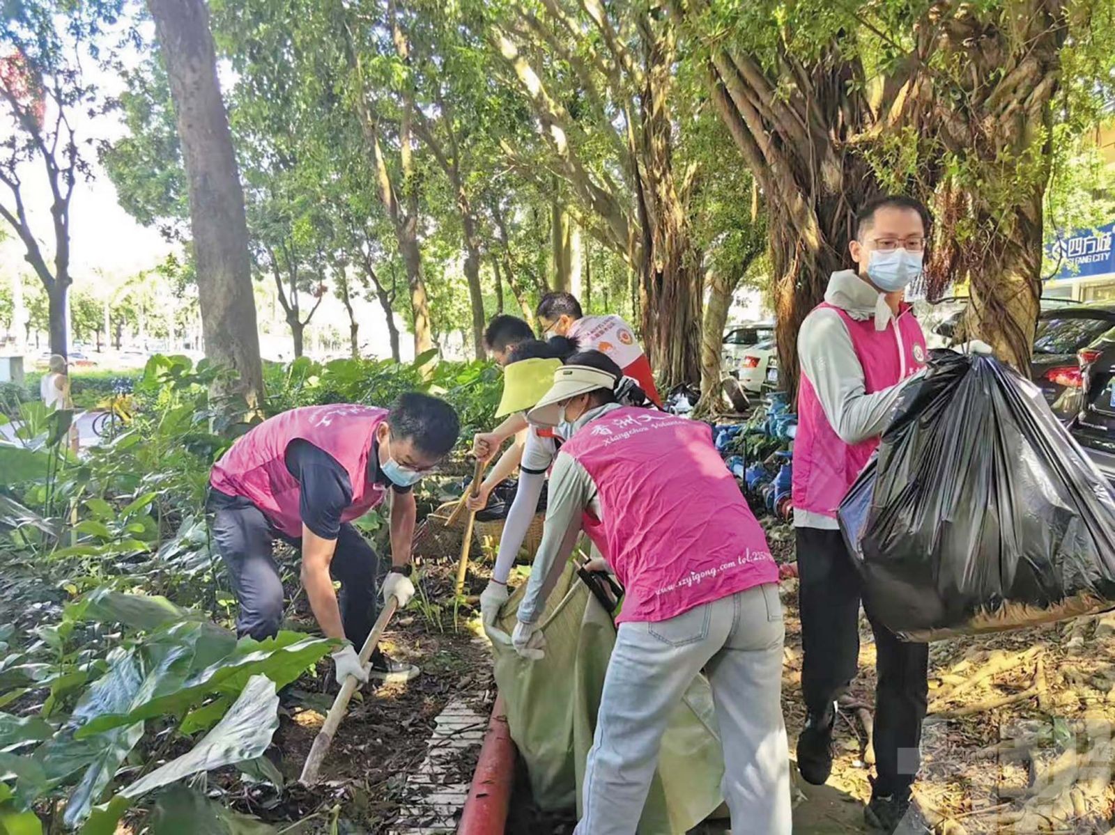嚴防登革熱基孔肯雅熱傳播