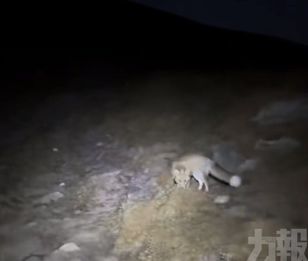專家：路線重疊純屬巧合