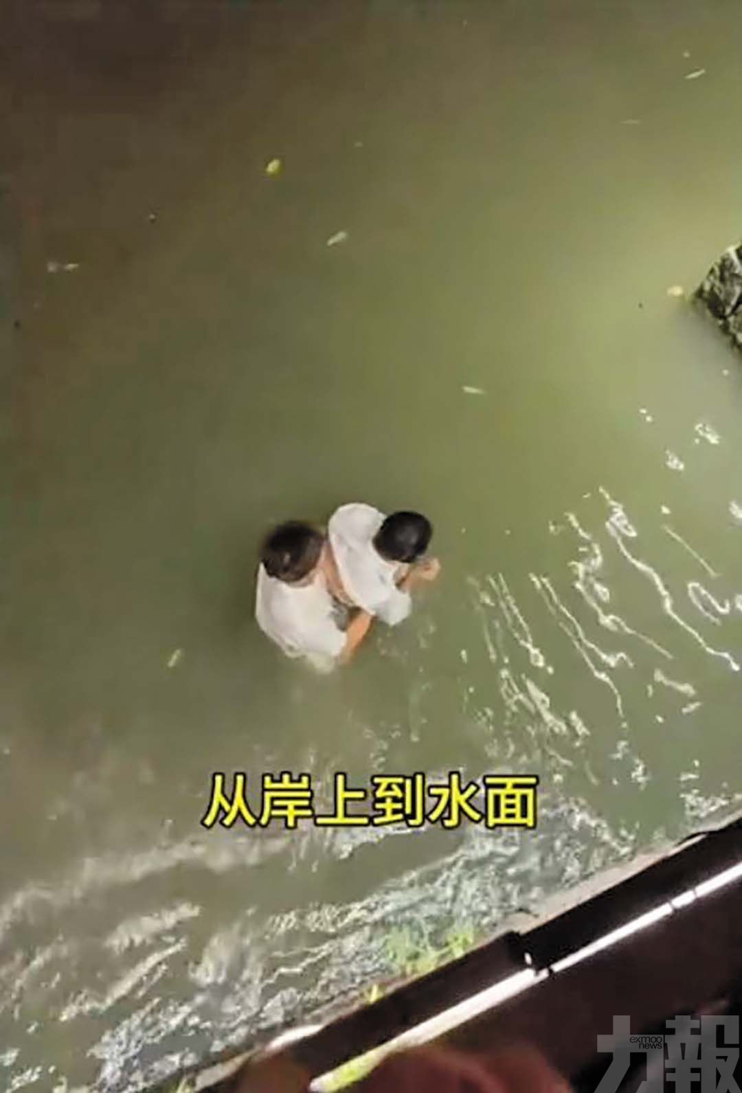 「求誇誇」影片遭刪引爆輿論大戰