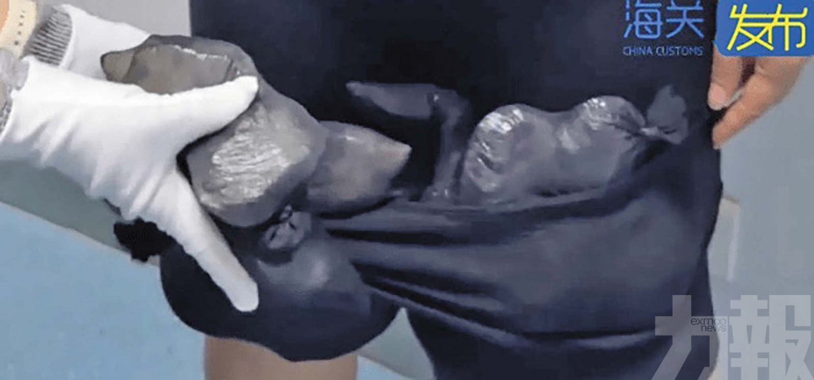 竟從褲襠掏出68隻活龜