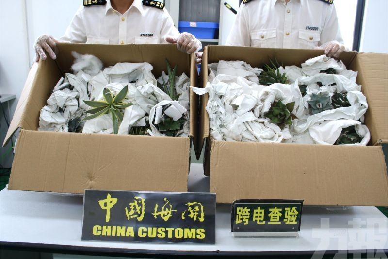部分屬國際公約保護物種 部分屬國際公約保護物種