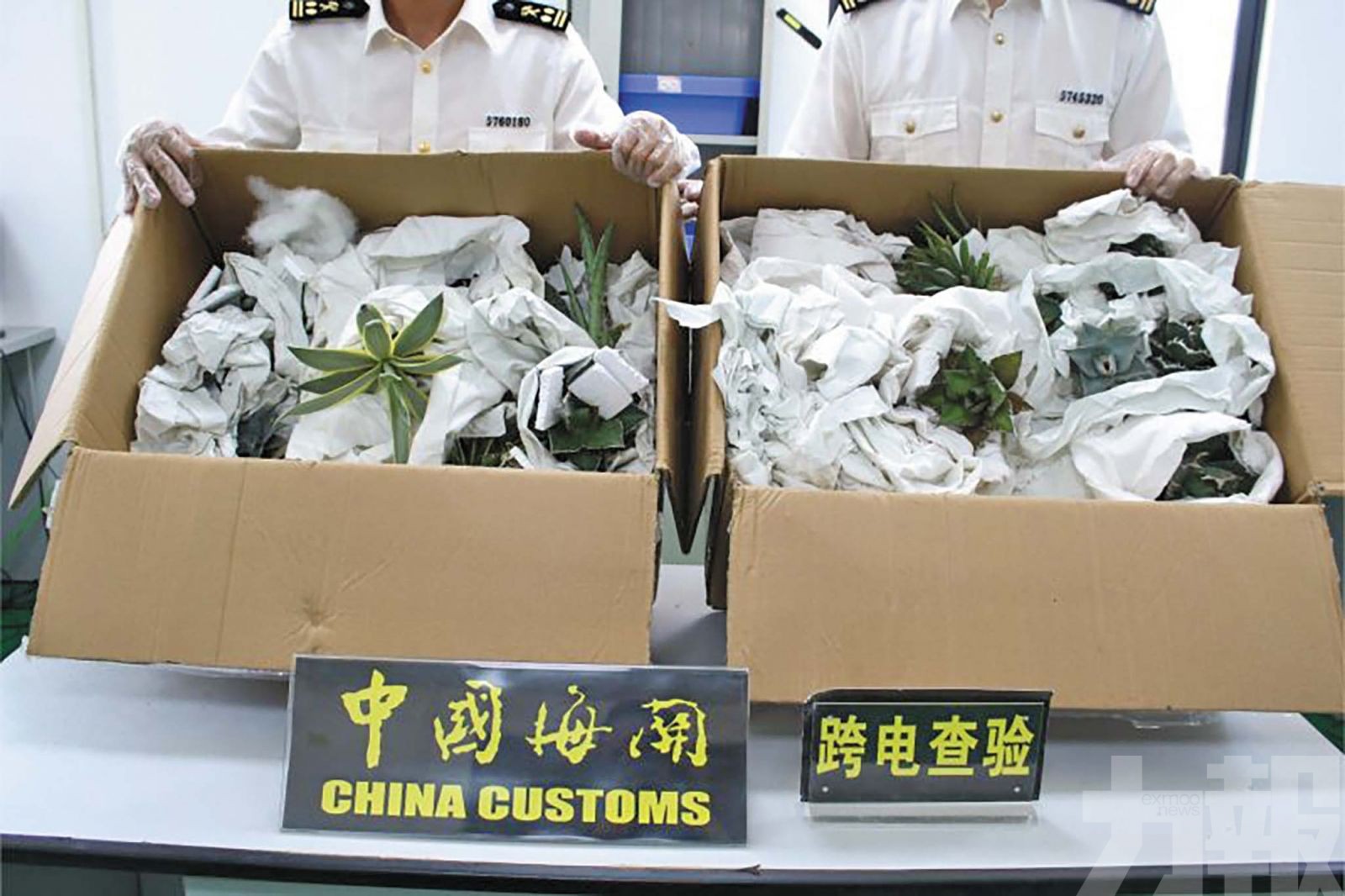 部分屬國際公約保護物種