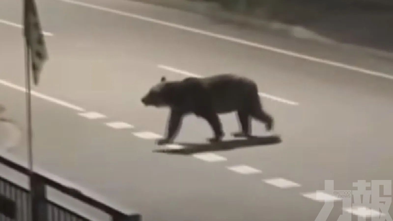 「熊襲危機」升級 自衛隊擬介入