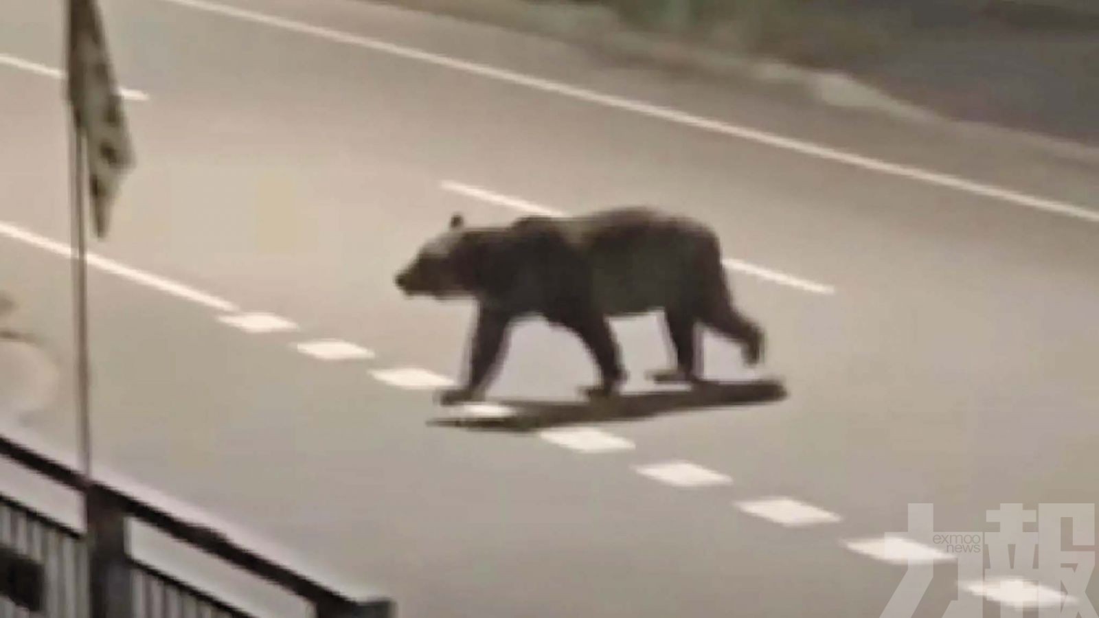 「熊襲危機」升級 自衛隊擬介入