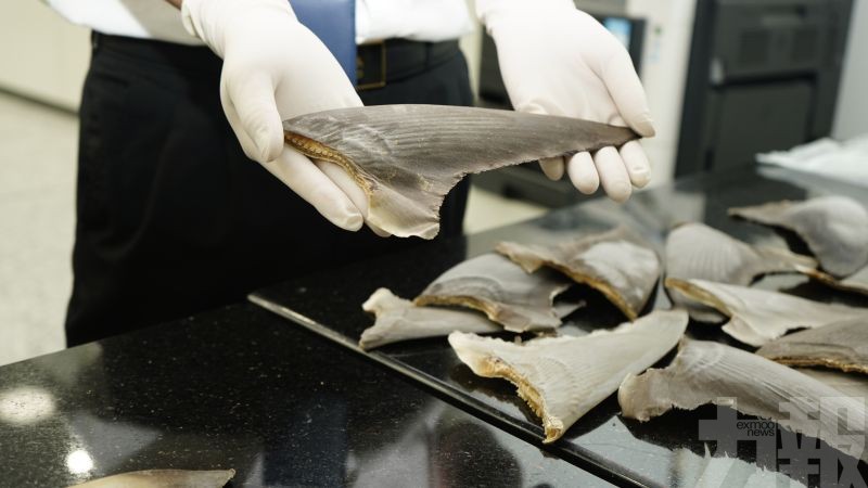 涉多種列入CITES附錄Ⅱ物種