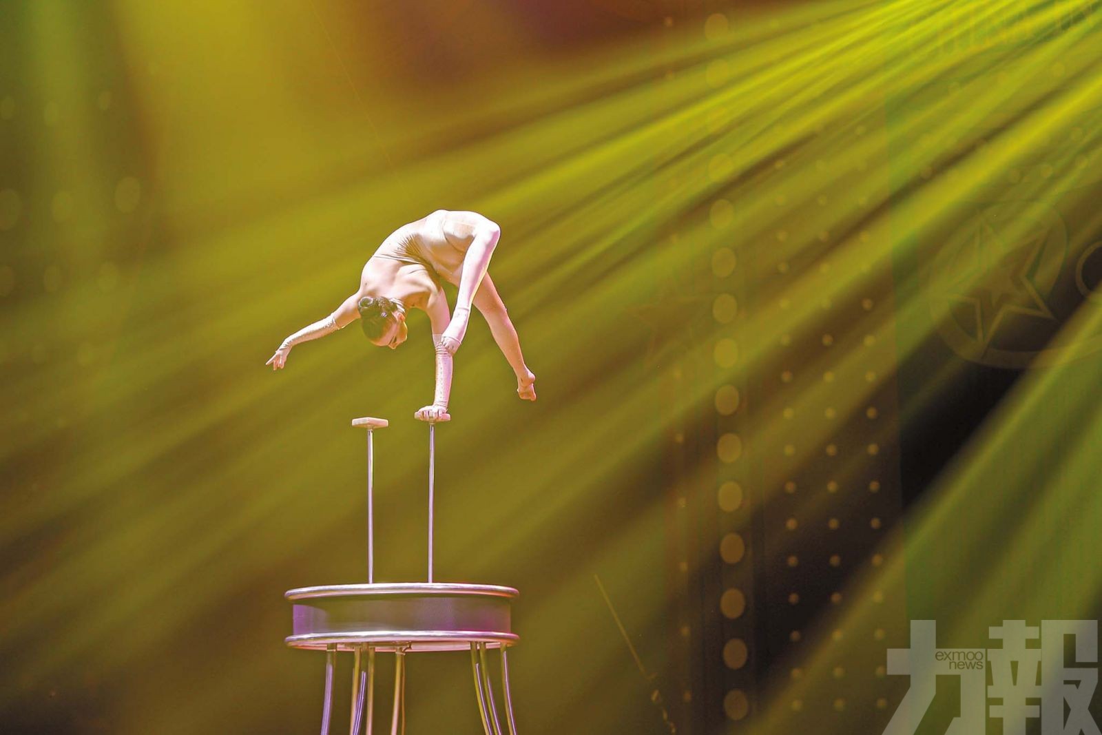 琴澳聯動助推文旅融合