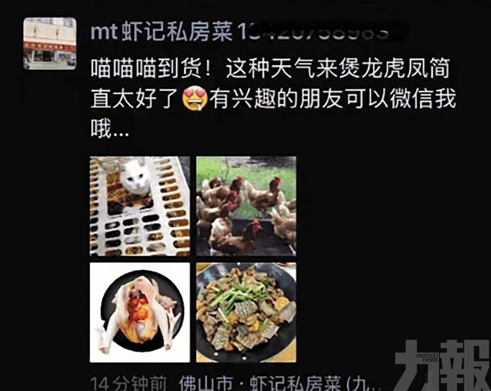 疑宰殺活貓烹菜官方介入