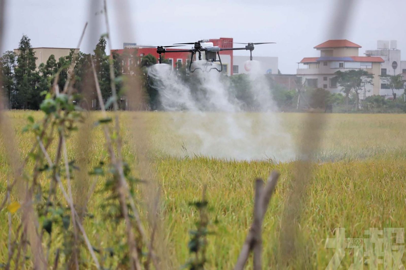 珠海打造「低空＋農業」新樣板
