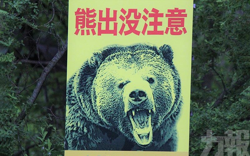 出動自衛隊真的有用？