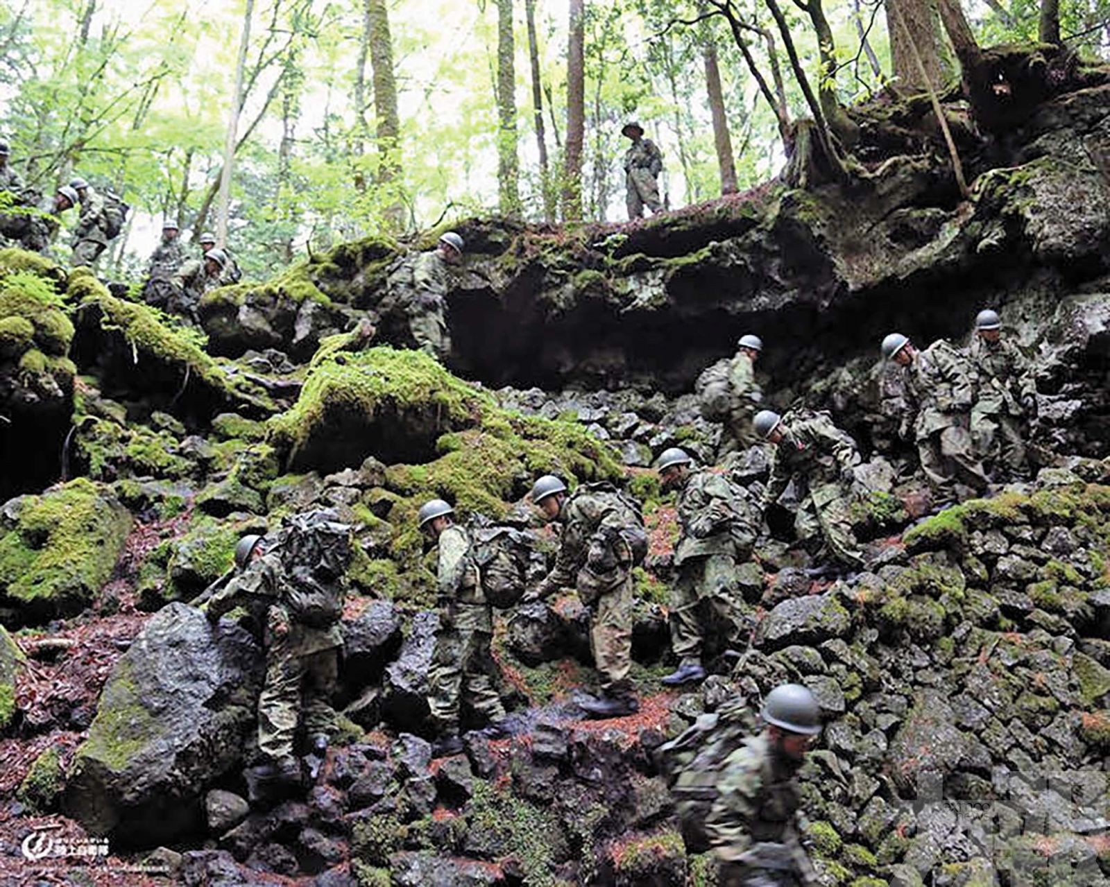 出動自衛隊真的有用？