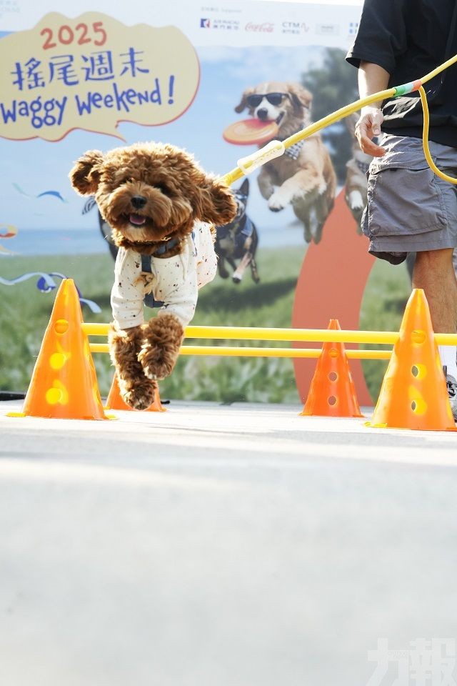 「Friends Fest 寵友日」圓滿落幕