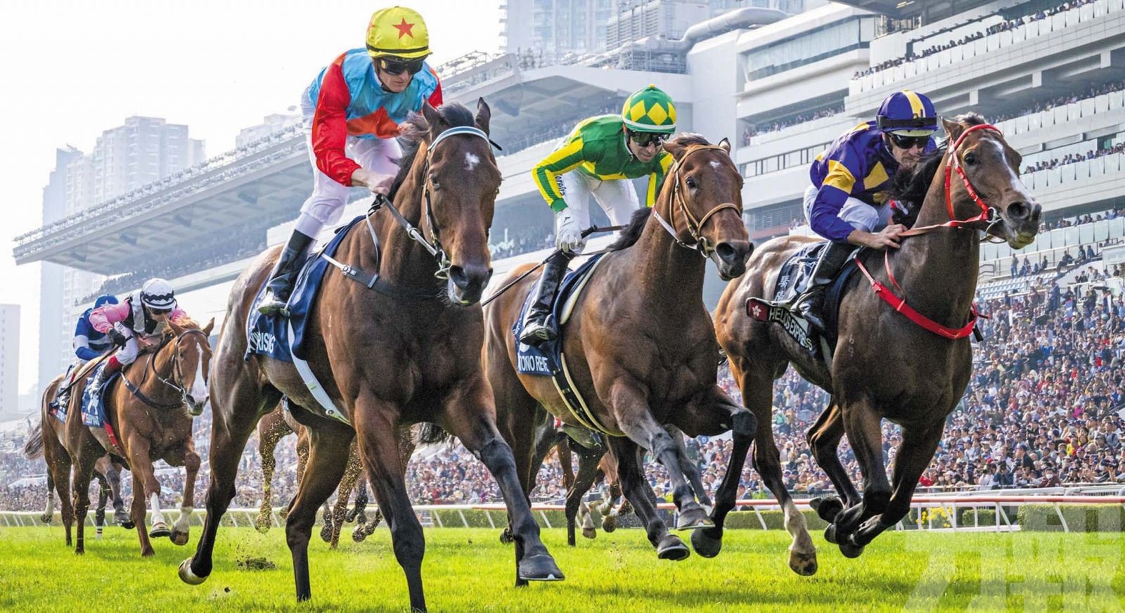 從化馬場明年10月首賽