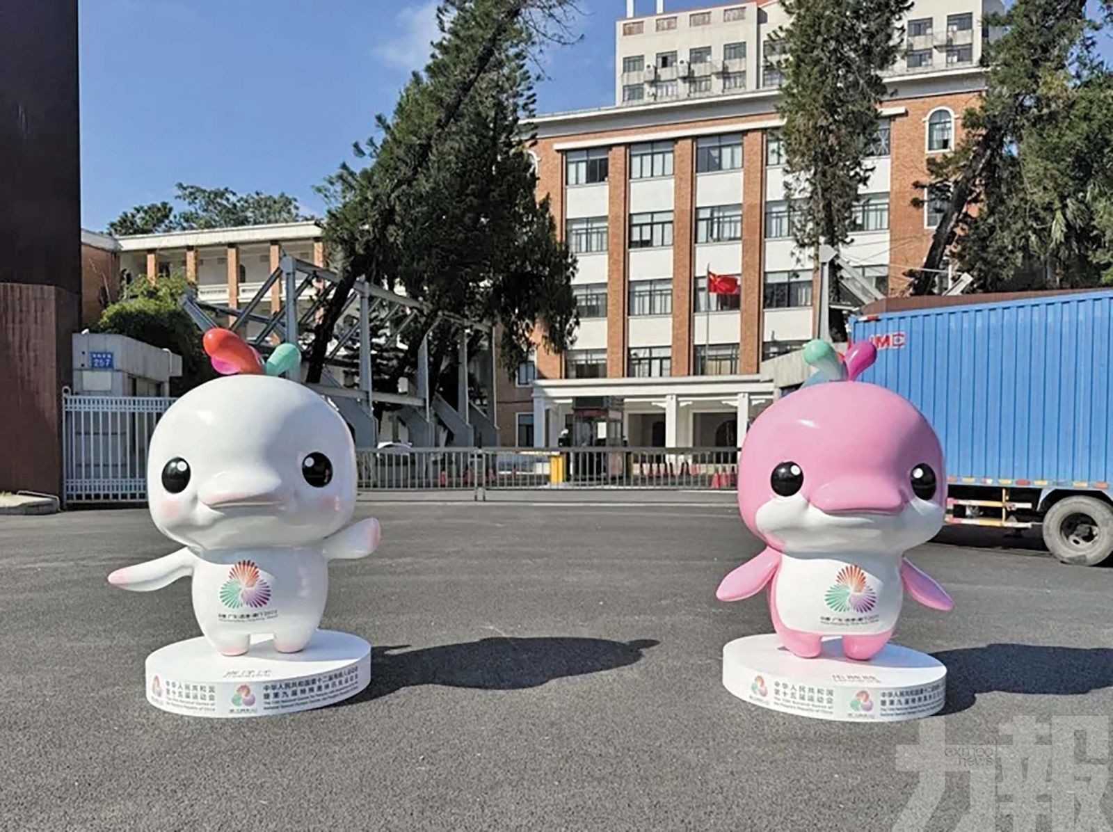 十五運吉祥物「大灣雞」爆火