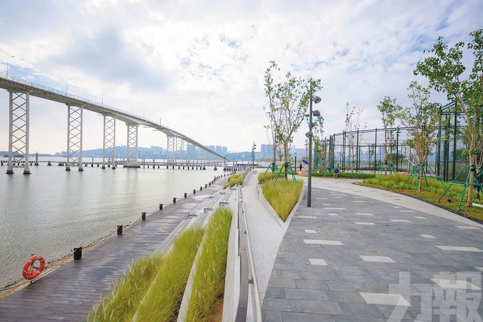 以球場功能為重點設「自由波地」